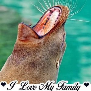 Meet your Posher, Terri